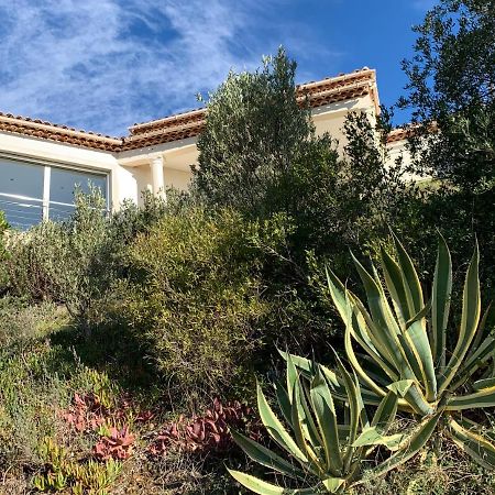 Maison Avec Vue Panoramique Cavalaire-sur-Mer Exteriör bild